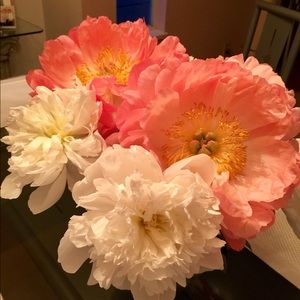 Meet your Posher, Elda